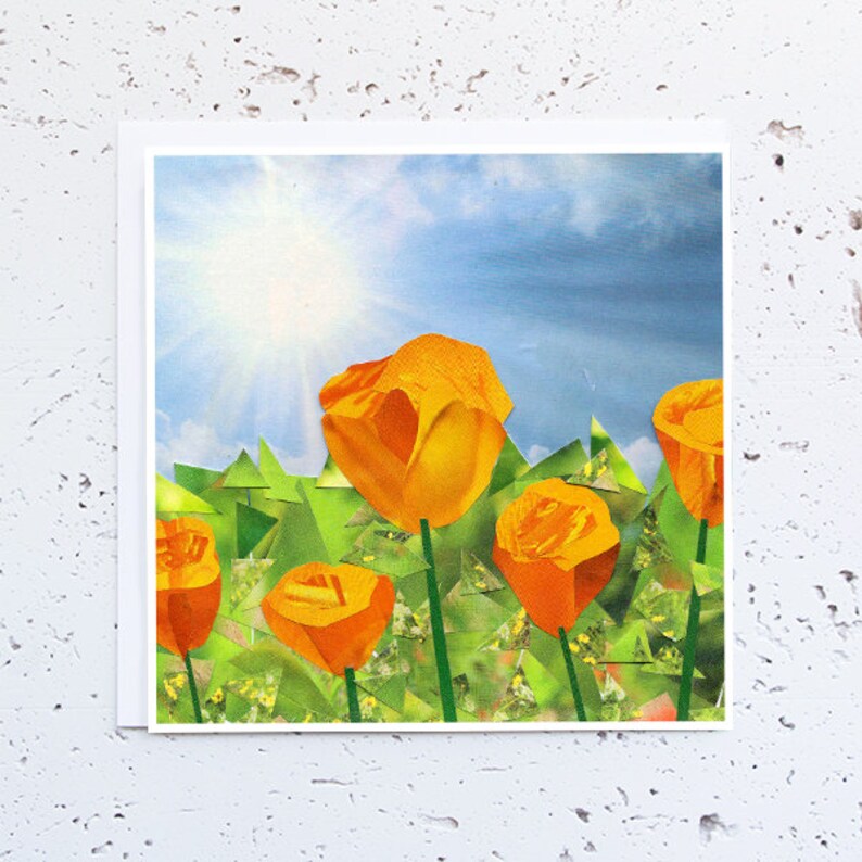 Poppy