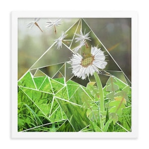 dandelion wall art | dandelion prints | summer dandelions | fairy dandelion | puffball flower | botanical prints