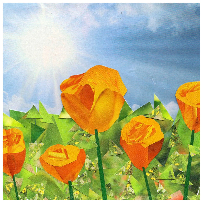 Poppy
