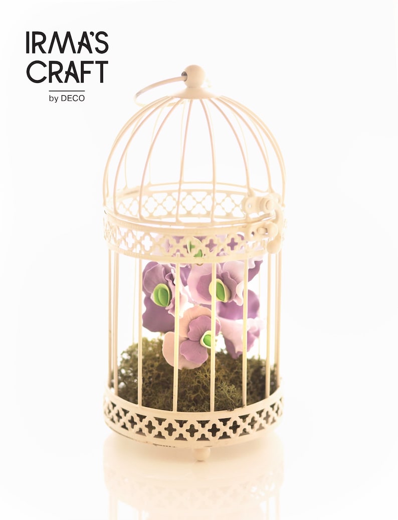 Sweey pea in the cage