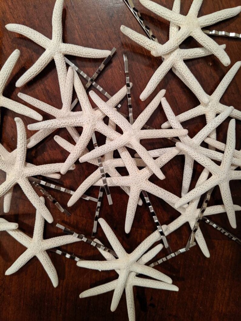 Natural Finger Starfish Hair Pins. Starfish. Tropical Hair. Etsy
