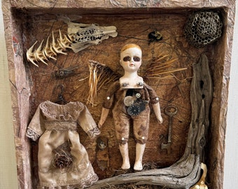 Collecta Morte. An assemblage featuring:vintage porcelain doll,driftwood,found objects,wasp's nest,preserved bee cicada found animal bones.