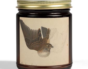 Scented Bird Candle, Vintage Bird Drawing, 9 oz, Reusable Glass Jar