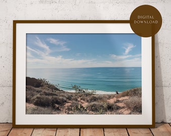 Torrey Pines Trail — Beach Printable, San Diego Photo, La Jolla, Coastal Wall Art, California Coast  | DIGITAL PRINT 8x10 12x18 16x20 18x24