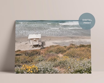 Floracion: Encinitas Beach Print, Coastal California Wall Art — 8x10 12x18 16x20 18x24 24x36 [Digital Print]