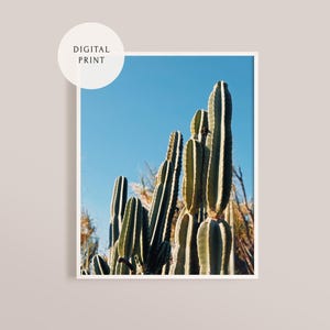 Escenario — Digitaldruck | San Diego Photography, Kaktus Poster, Natur inspirierte Wandkunst, botanische Kunst 8x10 11x14 12x18 16x20 18x24