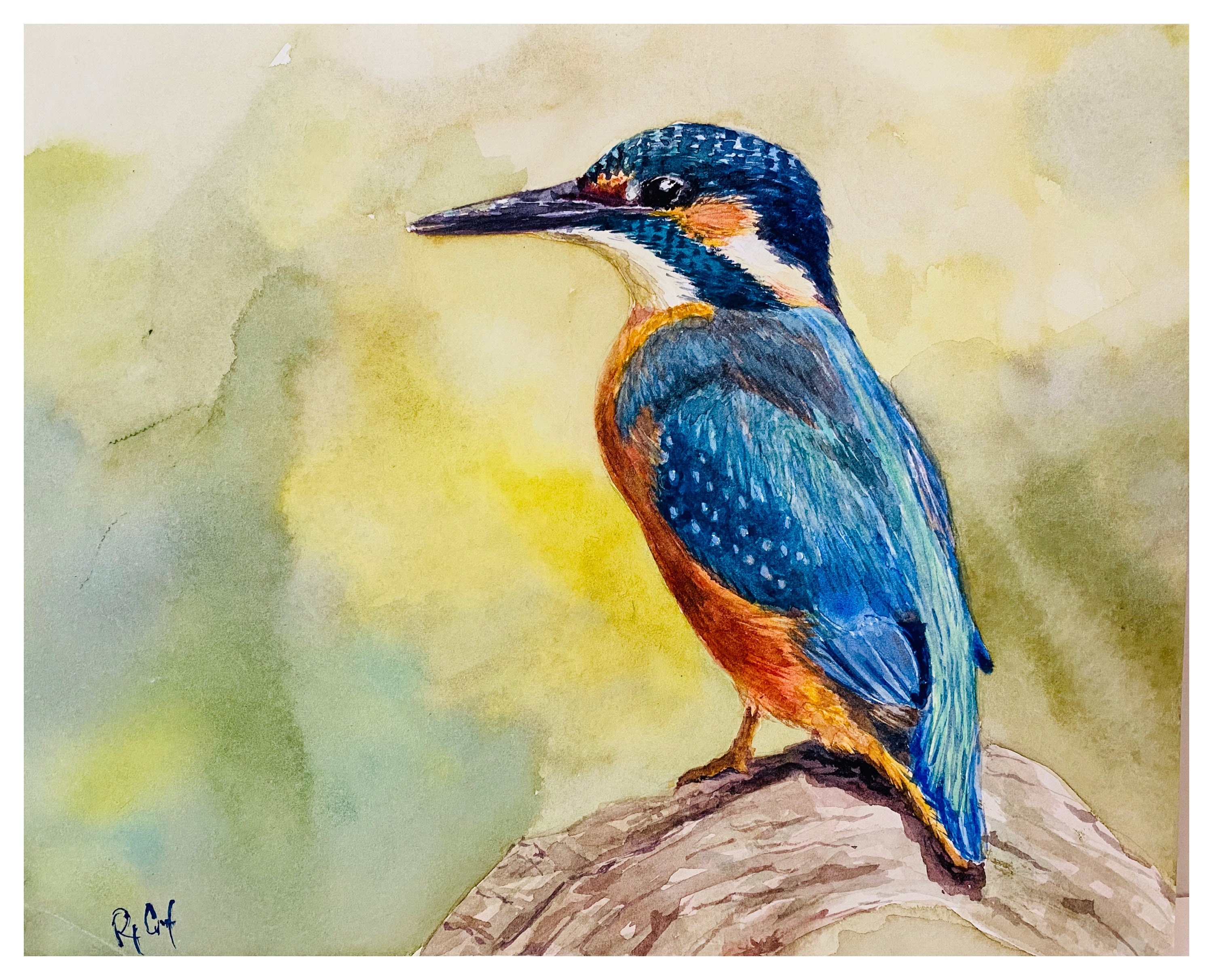 絵画J・HOOK KINGFISHER IN AN EXOTTC GARDEN