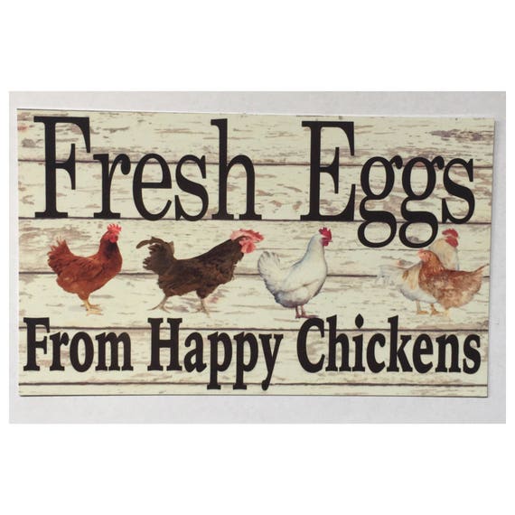 Crazy Chicken Lady Lives Here Sign Rooster Farm Wall Plaque Country Farmhouse Crazy Chicken Lady Lives Here Sign Rooster Farm Wall Plaque Country Farmhouse