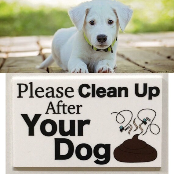 How To Clean Dog Poop From Garden