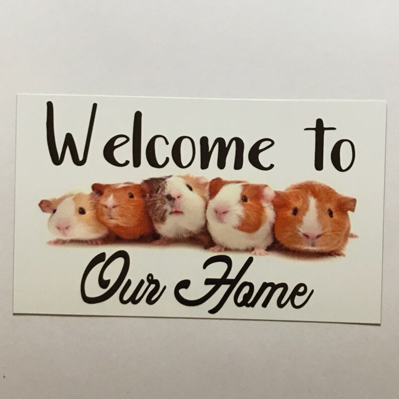 to Our Home Guinea Pig Sign Front Door or Hutch Wall Etsy