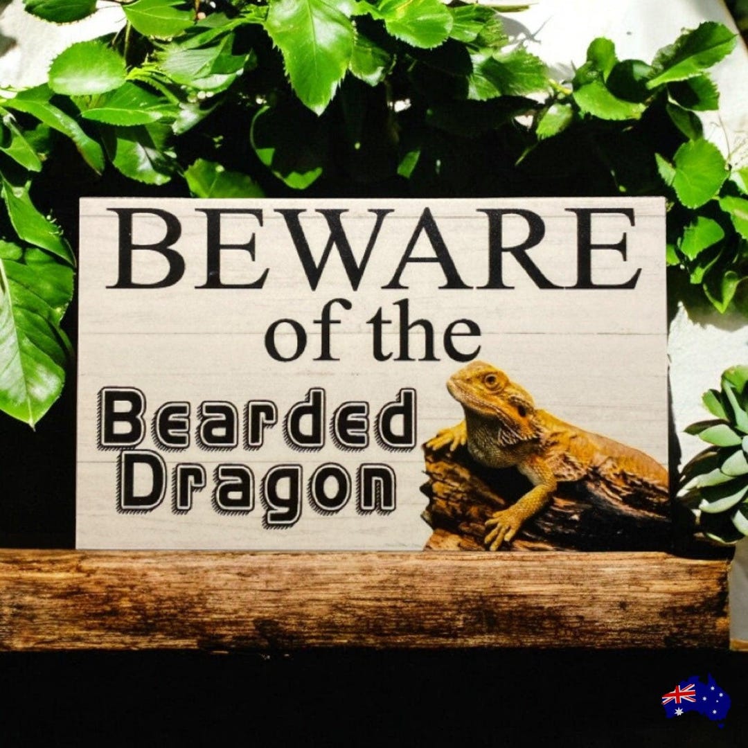 Beware of the Bearded Dragon Lizard Sign - Etsy Australia