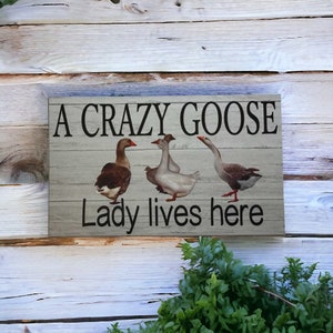 Crazy Goose Geese Lady Lives Here Sign