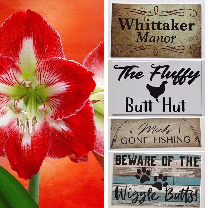 Custom Your Dog Name House Kennel Sign Etsy