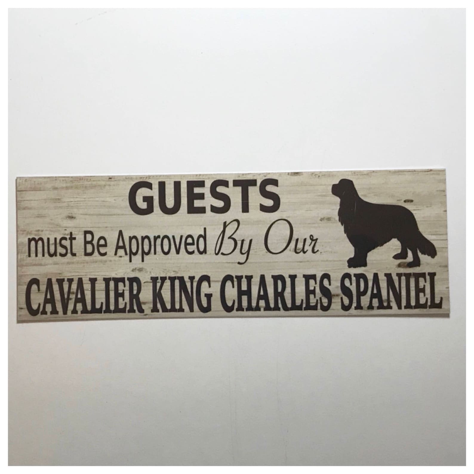 4+ Adorable Cavalier King Charles Spaniel Gift Ideas