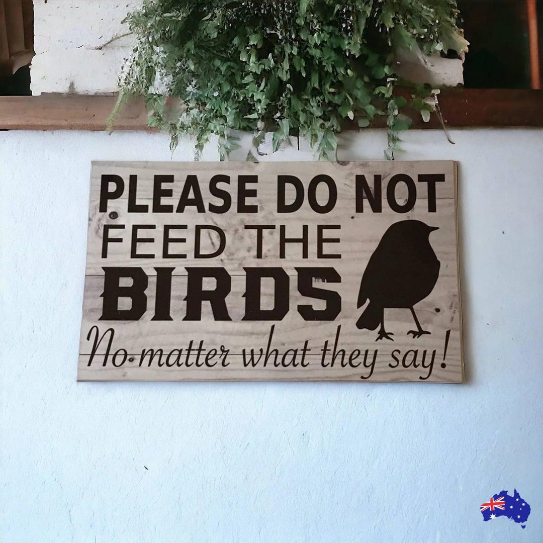 Why Not Feed the Birds: Surprising Risks You Must Know