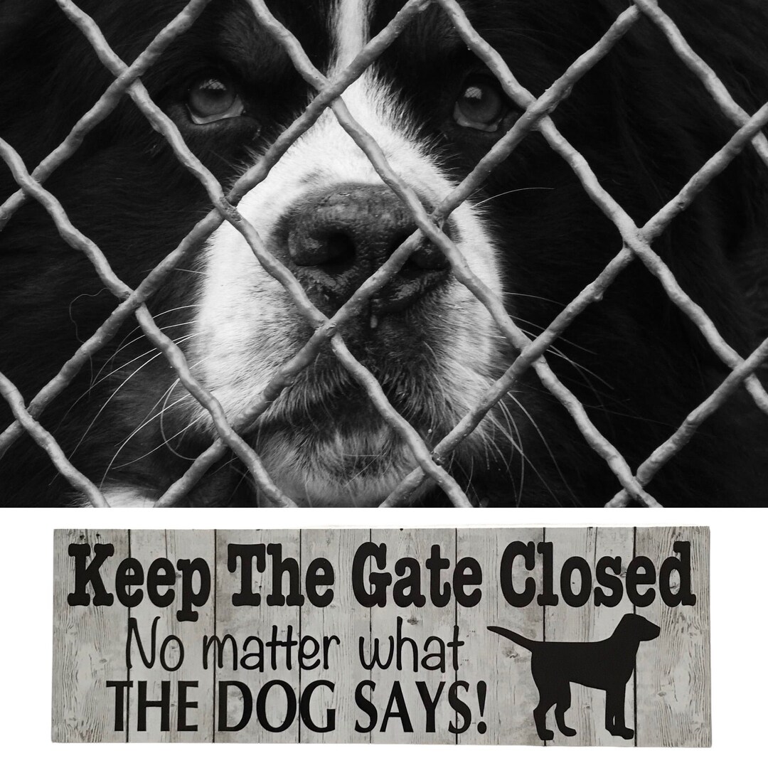 Keep Gate Closed Dogs At Play Aluminum Sign (Non Reflective