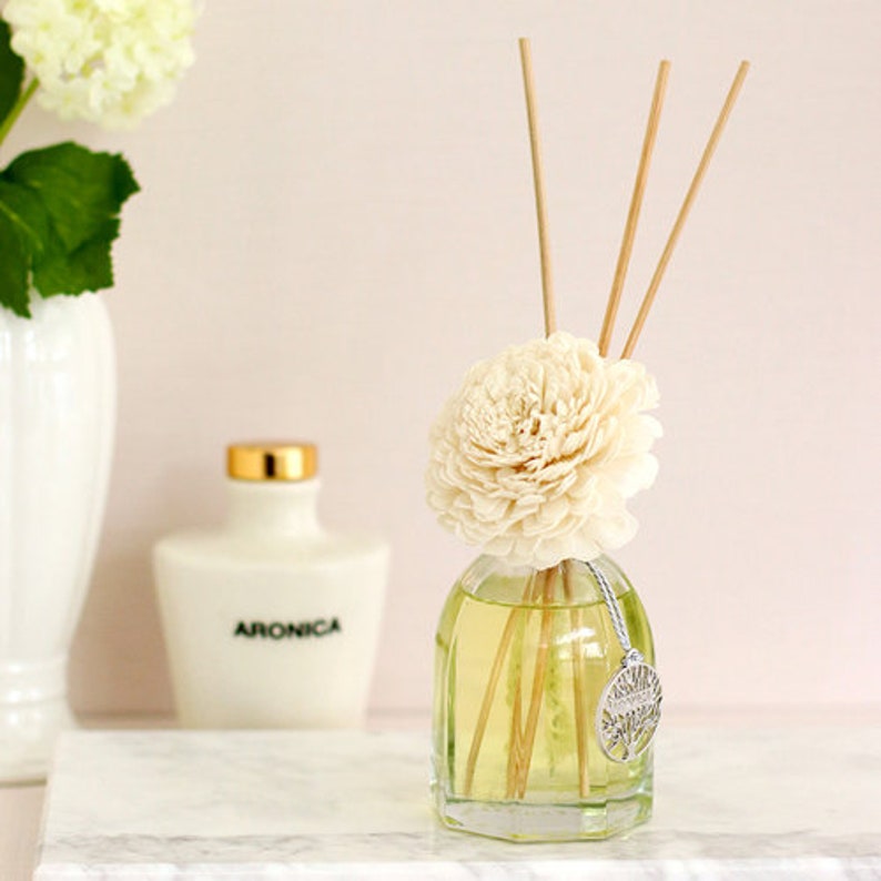 Sola Flower Diffuser Reed Diffusers Oil Diffusers Scented - Etsy