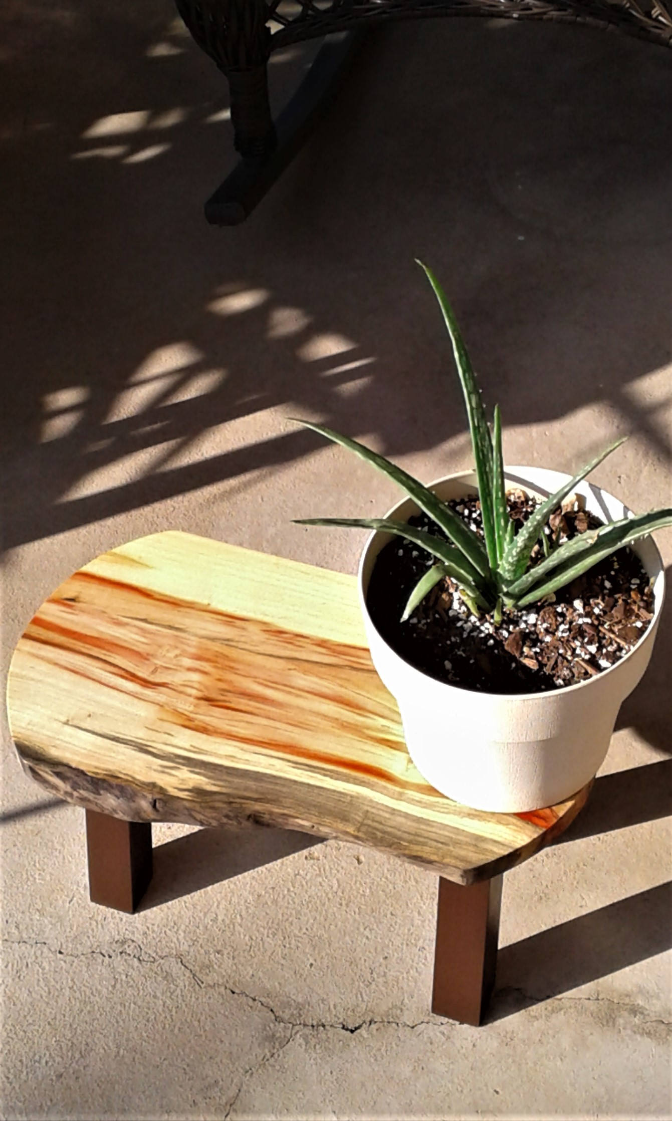 Download Wooden Live Edge Foot Stool, Step Stool, Mini Bench, Prop, Plant Stand