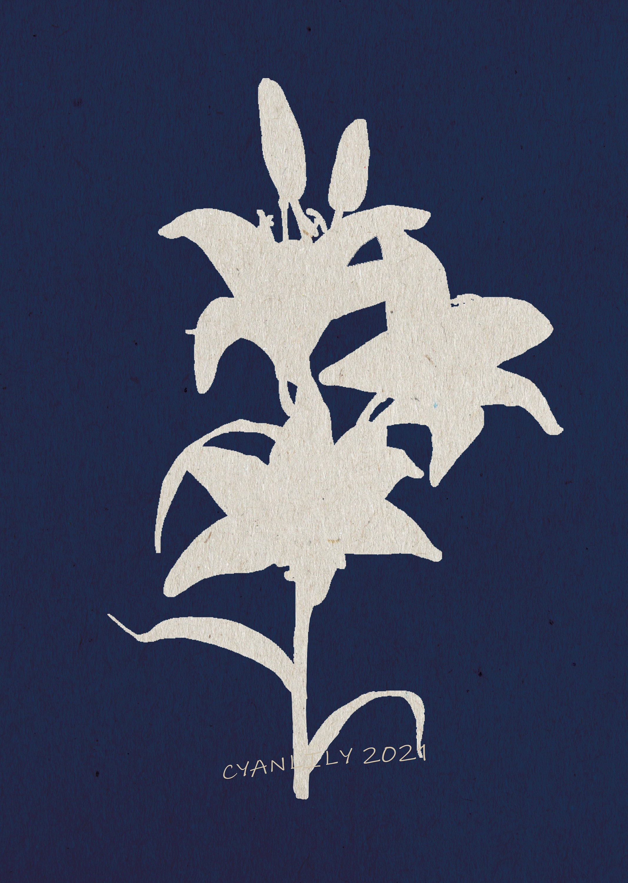 Downloadable Wall Décor Botanical Art Prints Set of 6 | Etsy