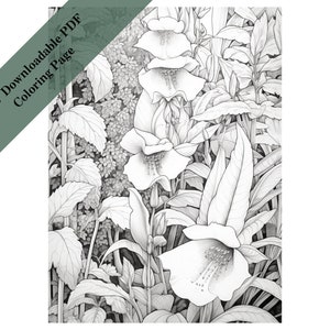 In the Poison Garden Adult Coloring Page Digital Download - Etsy