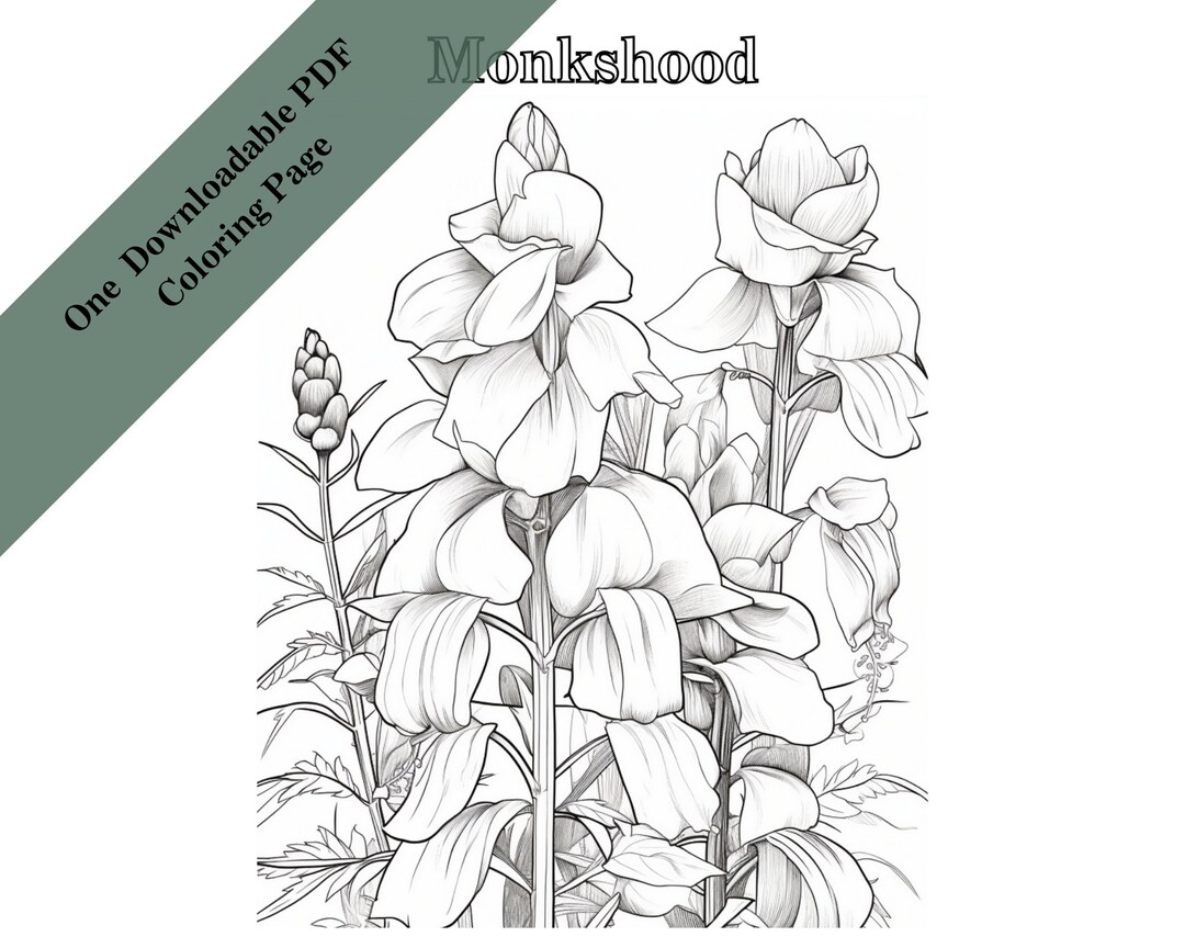 Mysterious Monkshood Adult Coloring Page Digital Download Etsy