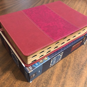 Personalized NIV Large Print Study Bible Thumb Indexed with Book Tabs - Burgundy LeatherSoft,  Custom Imprinted with name, 9780310449225