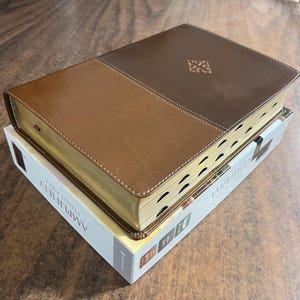 Personalized Amplified Study Bible Large Print Thumb Indexed - Brown LeatherSoft - Custom Imprinted with a name, 9780310444756