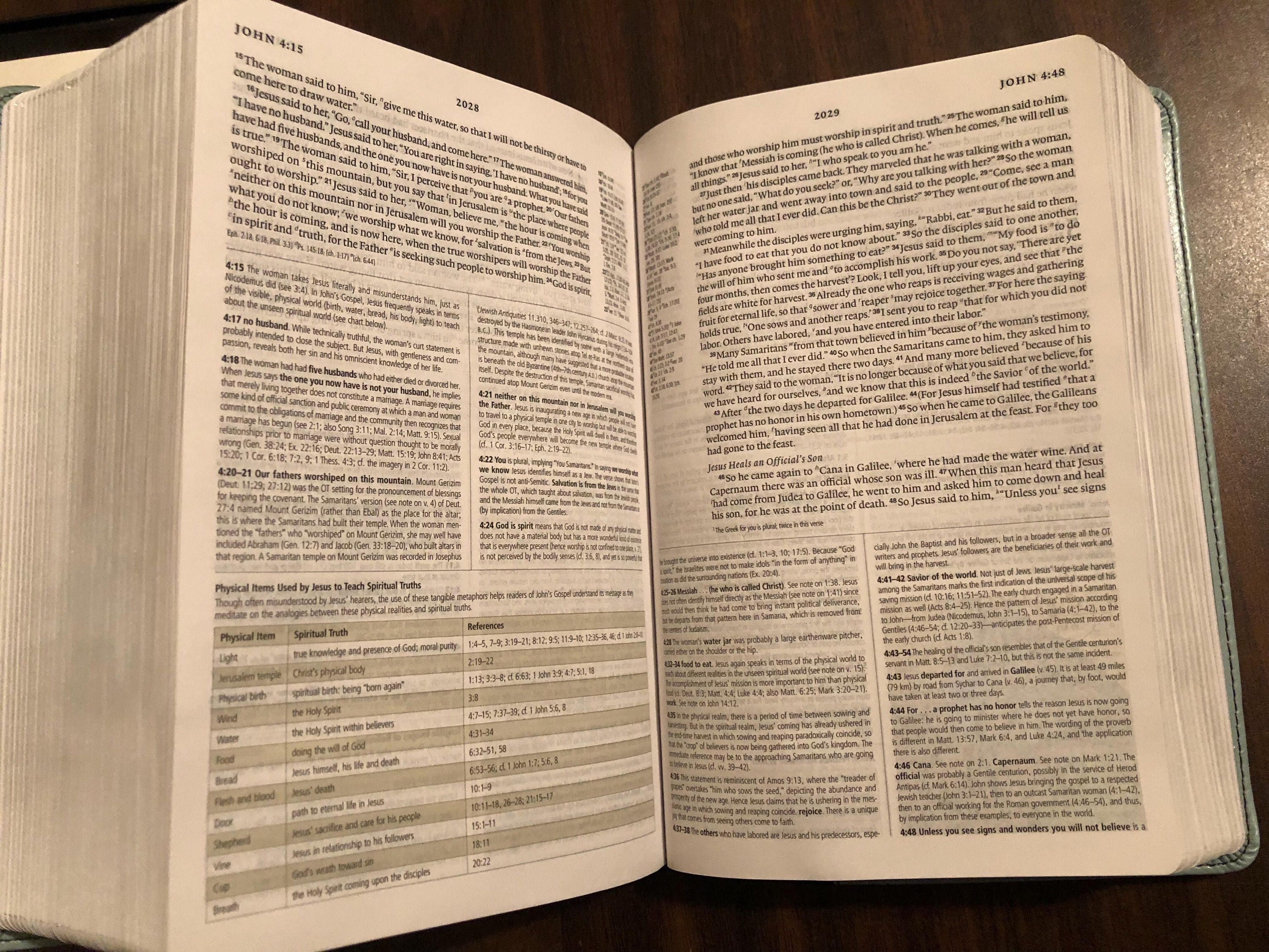 personalized-esv-study-bible-personal-size-blue-ivy-trutone