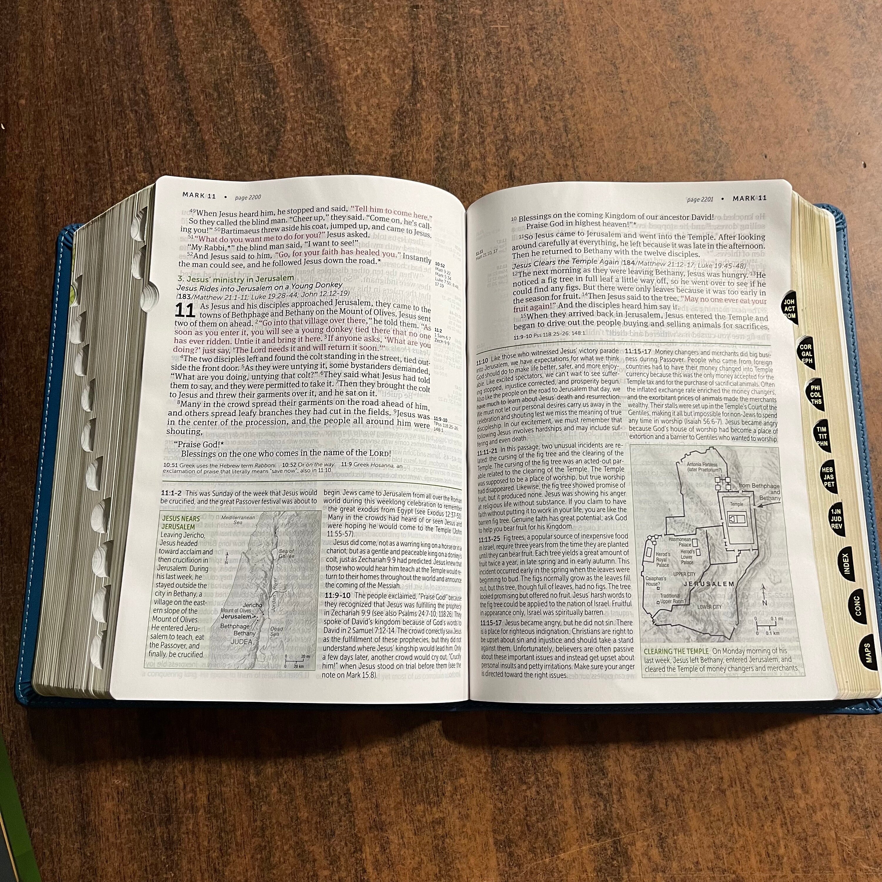 Personalized NLT Large Print Life Application Study Bible Thumb Indexed ...