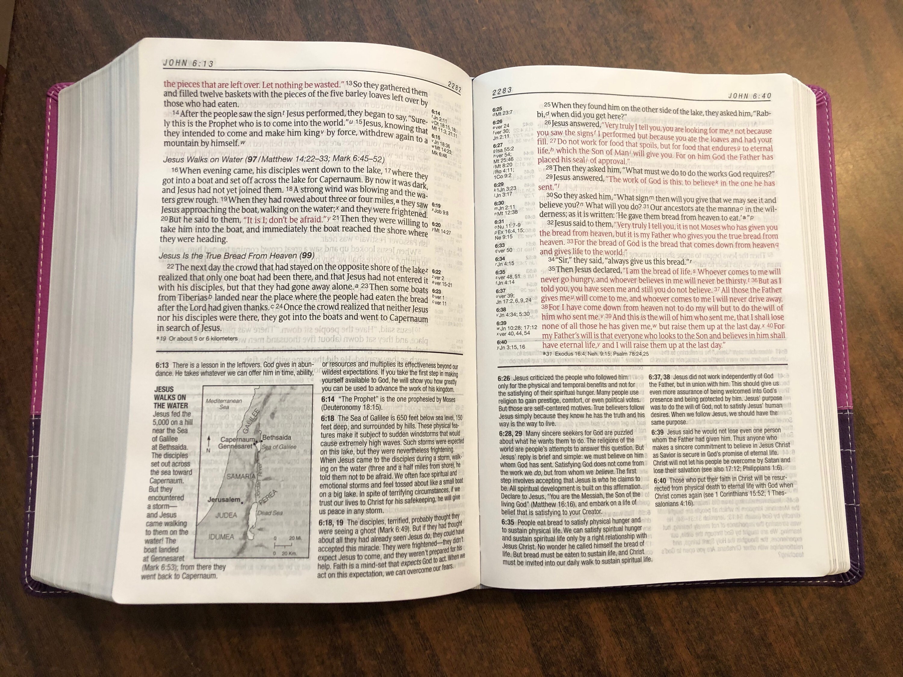 Personalized niv large print life application study bible orchid