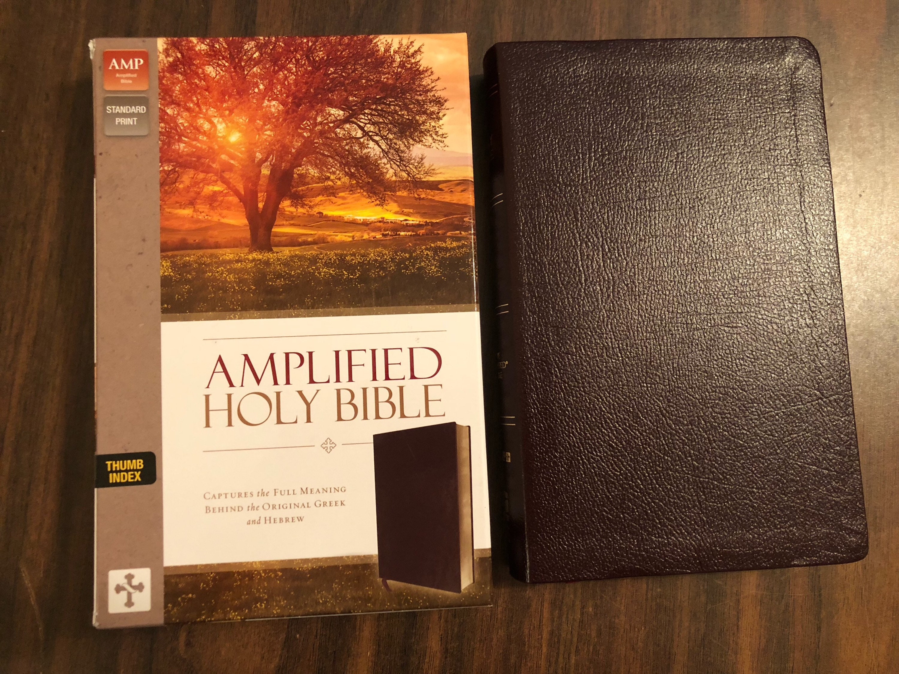 PERSONALIZED ** Amplified Bible Indexed Burgundy Bonded Leather