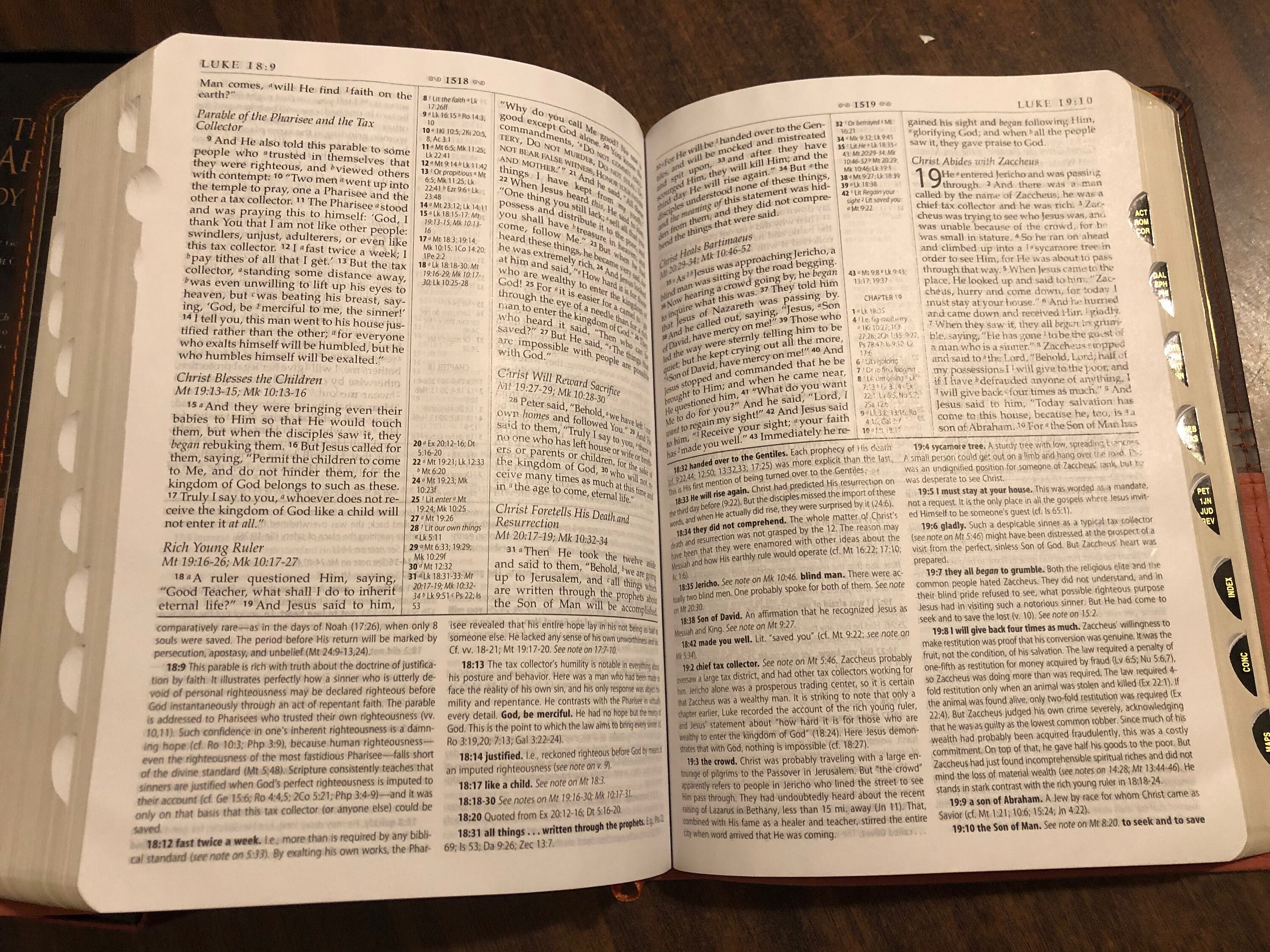 PERSONALIZED ** NASB Macarthur Study Bible Indexed Brown / Burnt