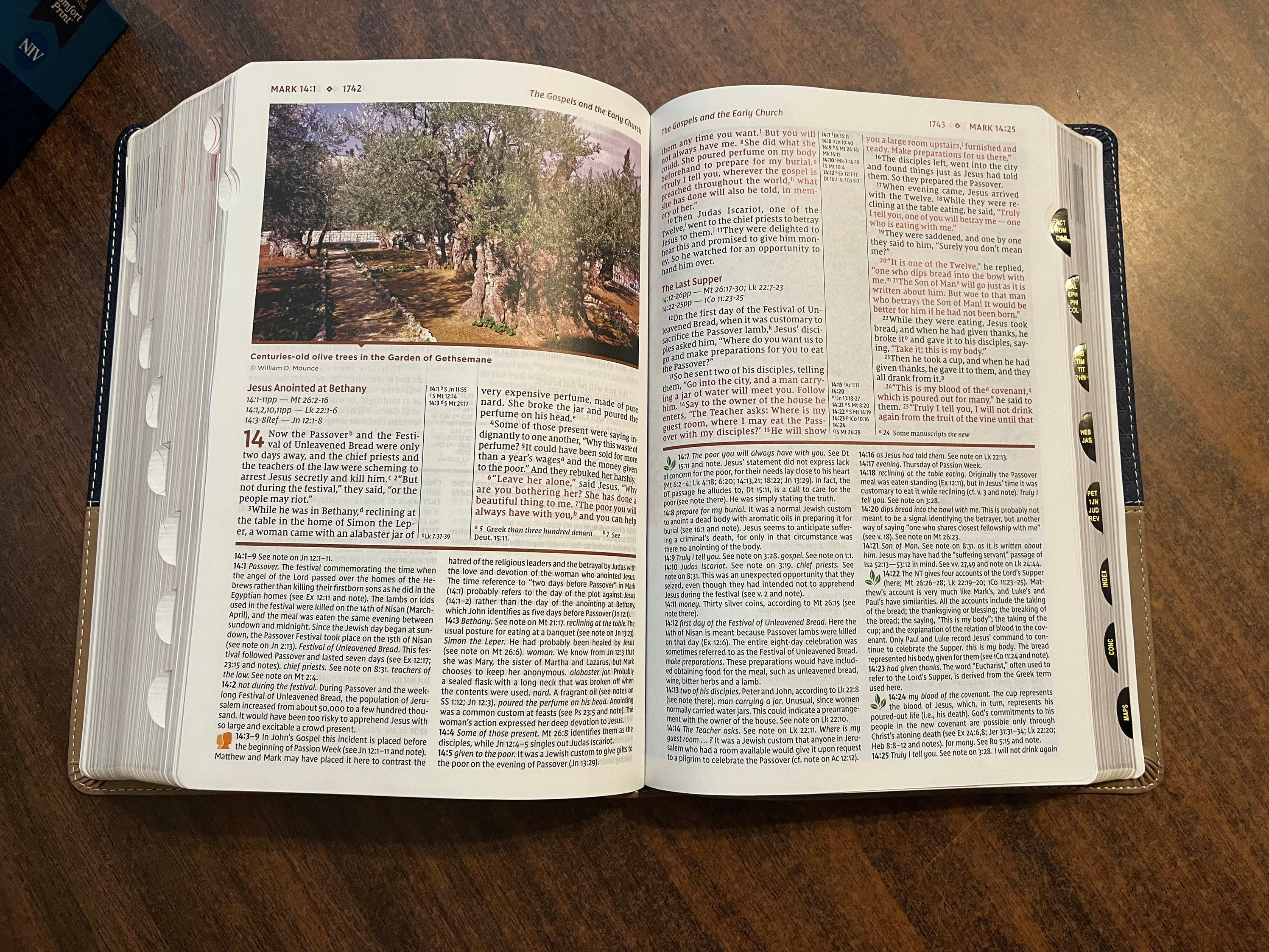 Personalized NIV Study Bible Thumb Indexed Navy Blue / Tan Brown LeatherSoft