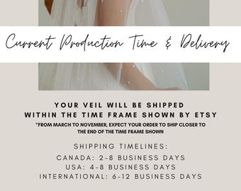 Soft WAIST Length Wedding Veil With Plain Raw Edge, 1T