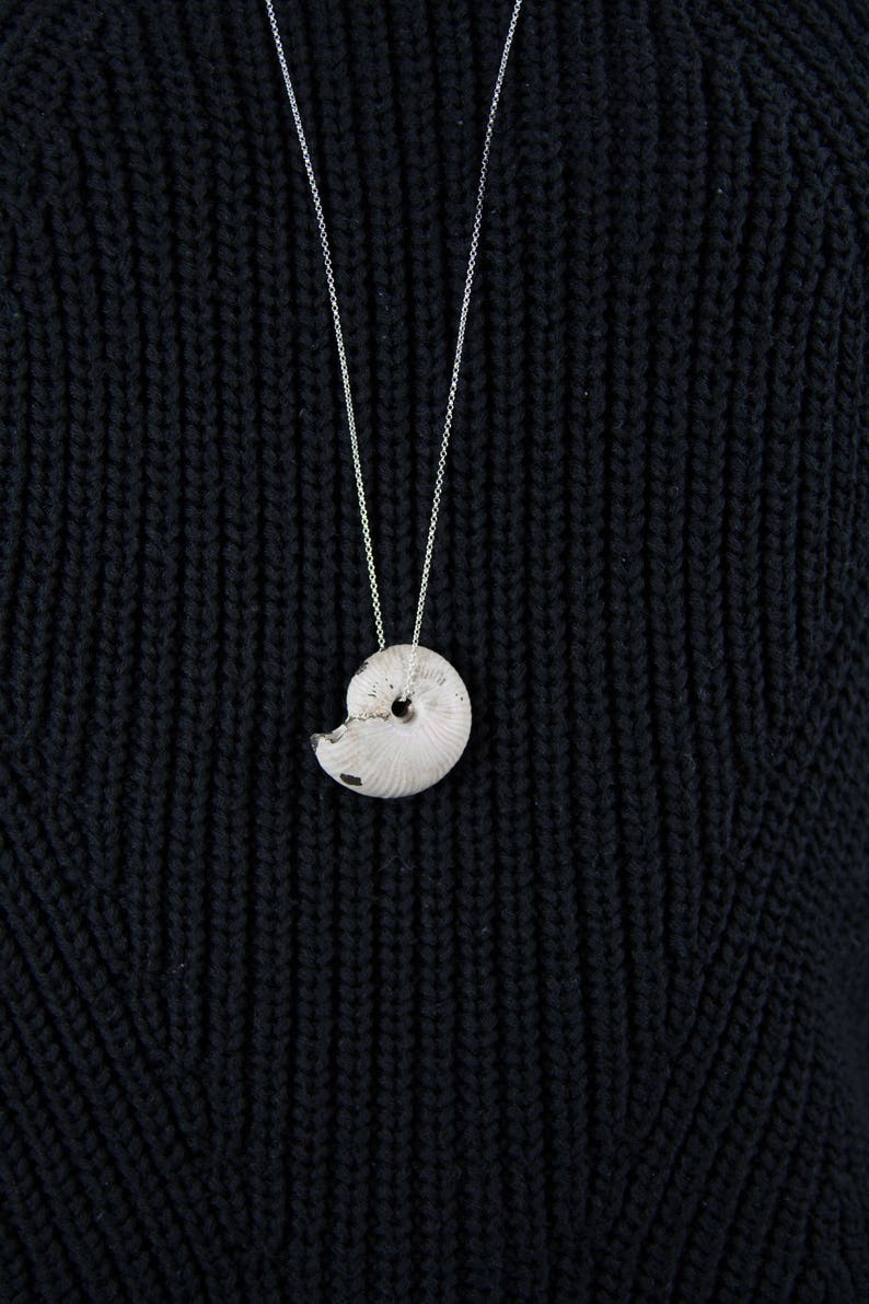Natural Pyrite Ammonite Fossil Shell Pendant