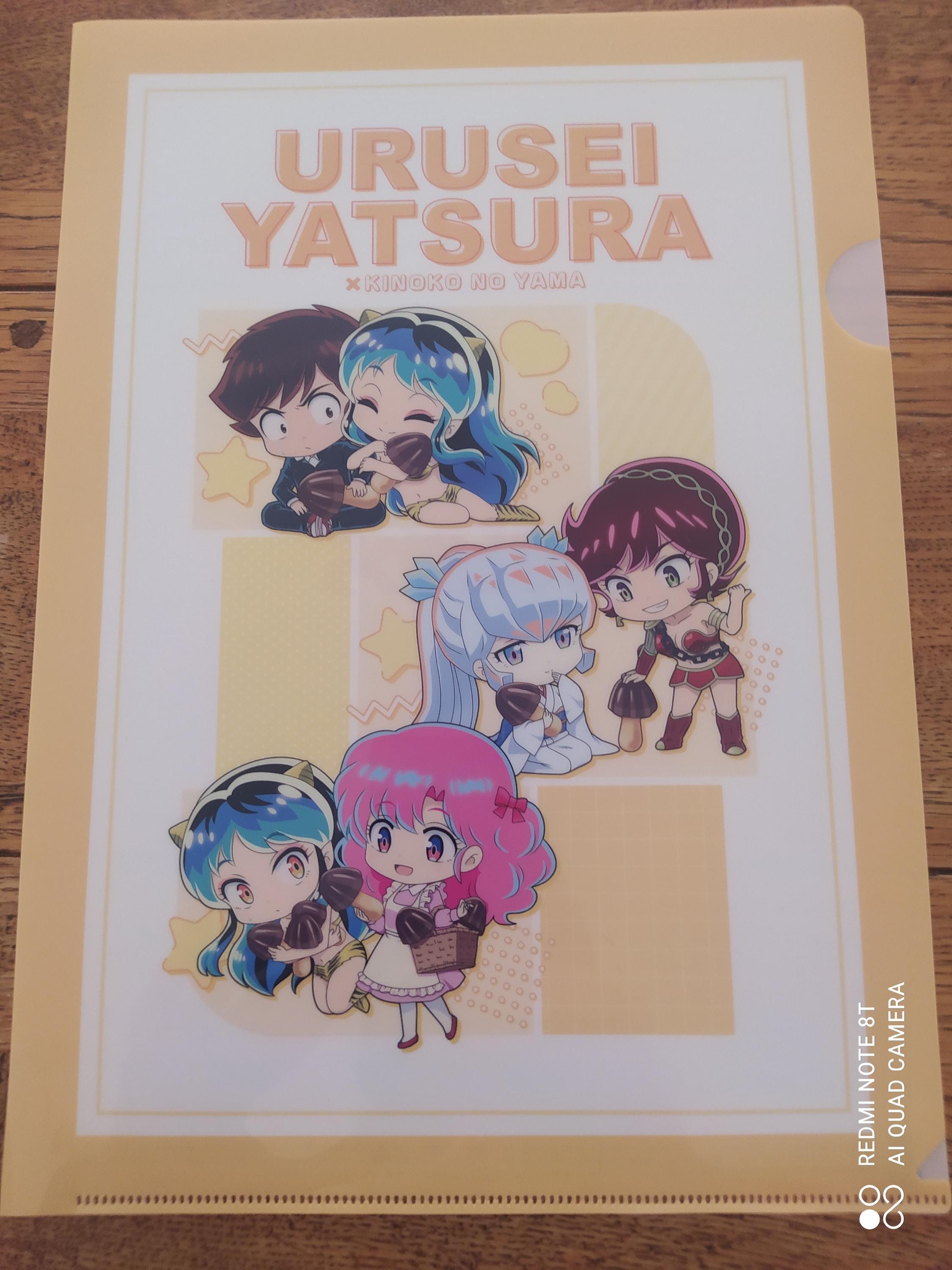 A4 Clear File Folder Japan - Etsy