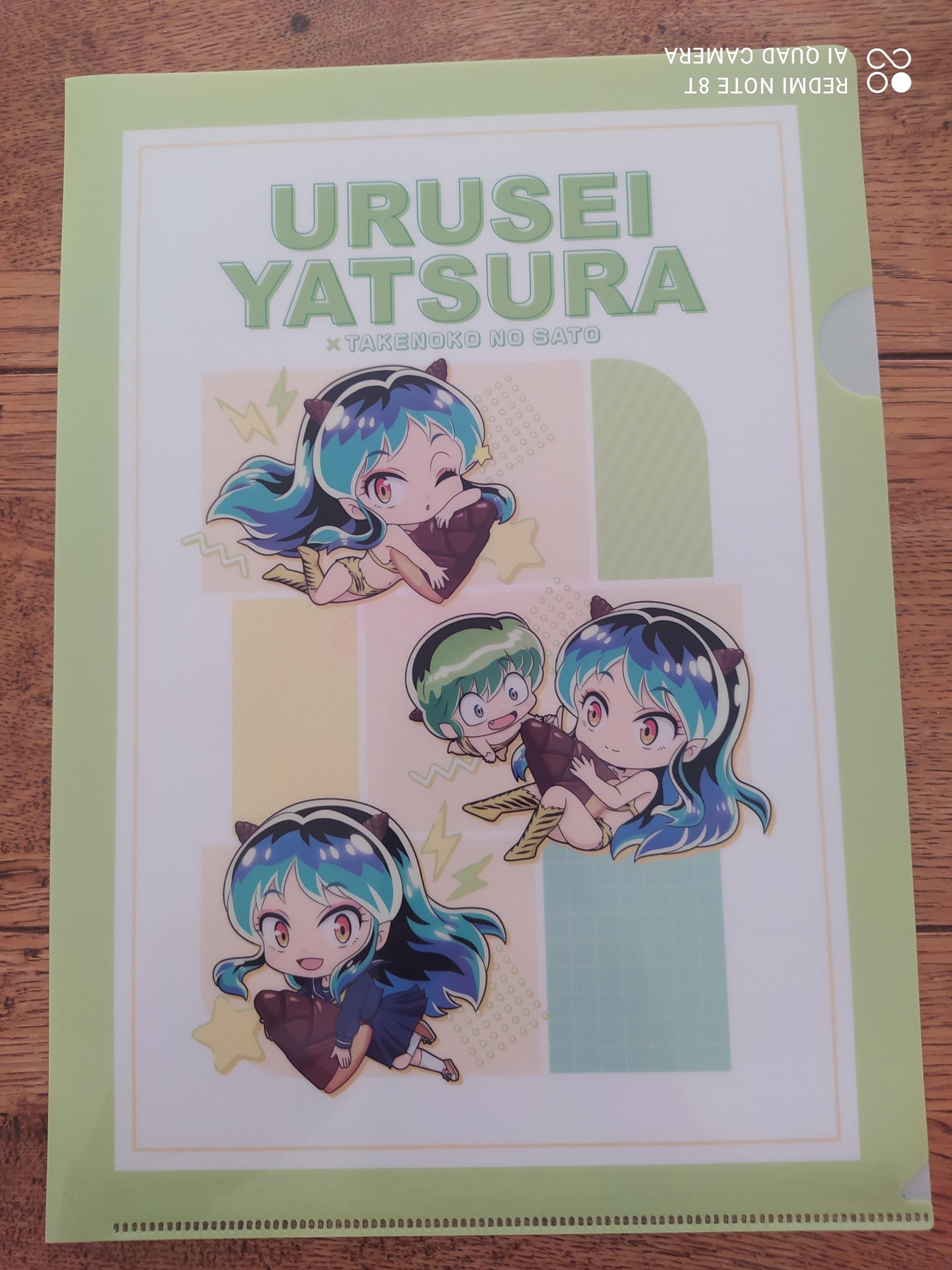 A4 Clear File Folder Japan - Etsy