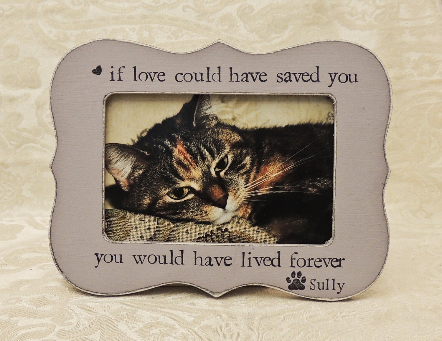 Pet loss gift idea Cat Memory picture frame pet cat memorial Etsy