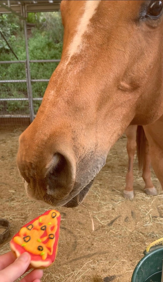 Can Dogs Eat Horse Treats