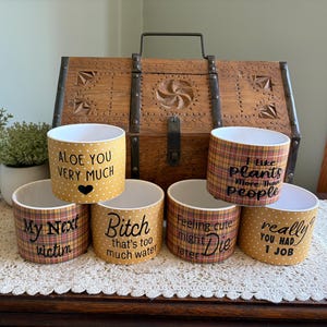 Funny Planter Pot, Plant Puns, Plant Lover gift, Funny Pottery, Herb Garden Planter, Small Ceramic Planter, Funny Indoor Pot, Farmhouse Pot