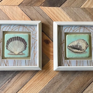 Może przedstawiać: Dwa oprawione kwadratowe wydruki muszli na jasnoniebieskim tle z ozdobną ramką w kolorze złotym i białym. Muszle znajdują się na jasnoniebieskim tle. Ramki są białe.