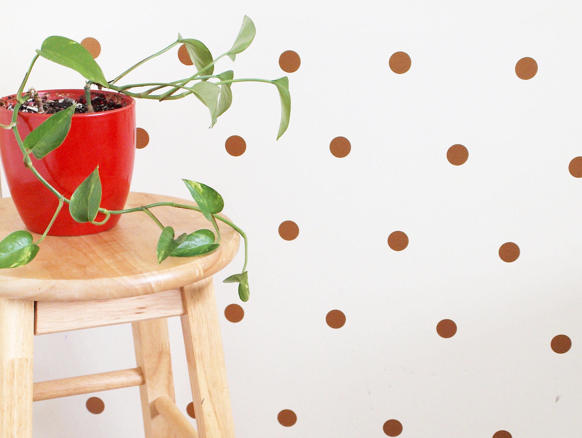 Gold Polka Dot Wall Decals/ Gold Wall Decals/ Wall Decals/ Etsy