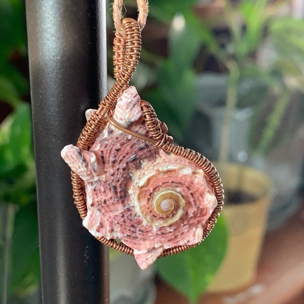 Seashell Pendant - Etsy