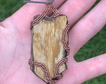 Wire Wrapped North Dakota Petrified Wood Pendant “Audubon”