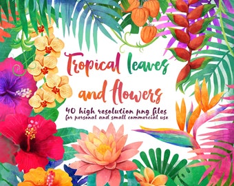 Tropical leaves and flowers clipart, watercolor summer clipart, palm leaves clipart, commercial use, digital download, floral clipart,