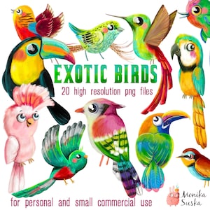 Exotic Birds Clipart, Bird clipart, Birds clipart, tropical clipart, birds clip art, digital download, animal clipart,