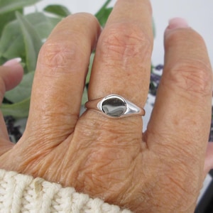 May include: A silver signet ring with an oval, dark-colored center stone. The ring is on a finger, and the hand is wearing a cream-colored sweater. The background includes greenery and purple flowers.