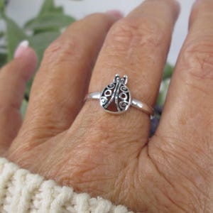 May include: A silver ring featuring a ladybug design. The ladybug has a dark brown body and detailed silver wings. The ring is worn on a finger, showcasing the intricate details of the jewelry.