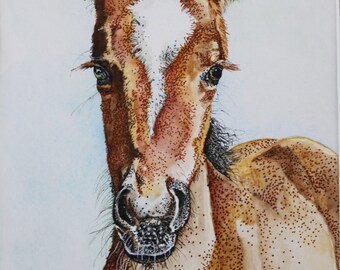 Watercolor and Ink FOAL