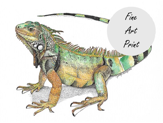 iguana poster iguana print iguana art green iguana Iguana watercolor iguana iguana watercolor iguana art print
